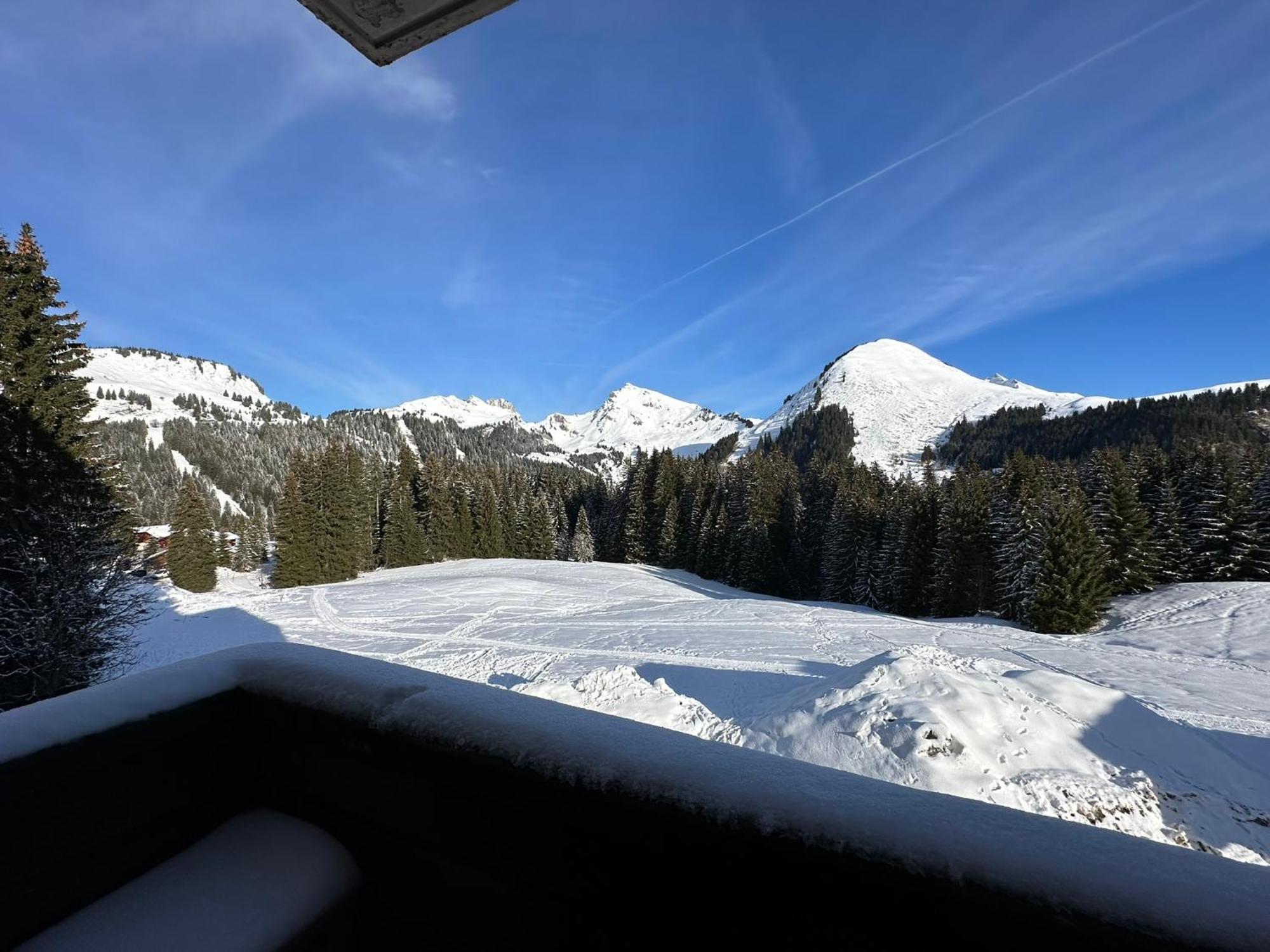 Studio Au Coeur Du Praz-De-Lys - Les Pralyssimes Le Praz de Lys Ngoại thất bức ảnh