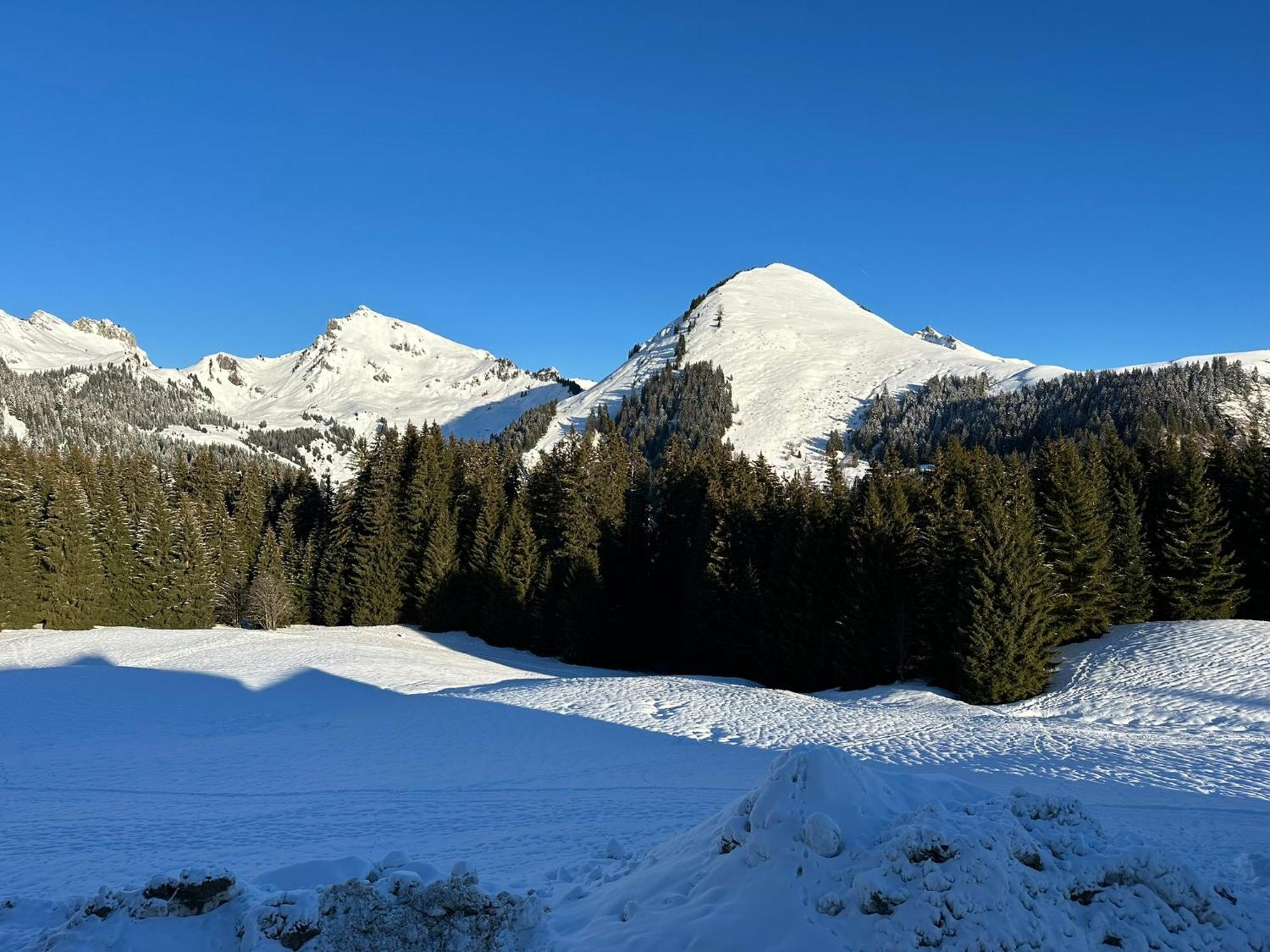 Studio Au Coeur Du Praz-De-Lys - Les Pralyssimes Le Praz de Lys Ngoại thất bức ảnh