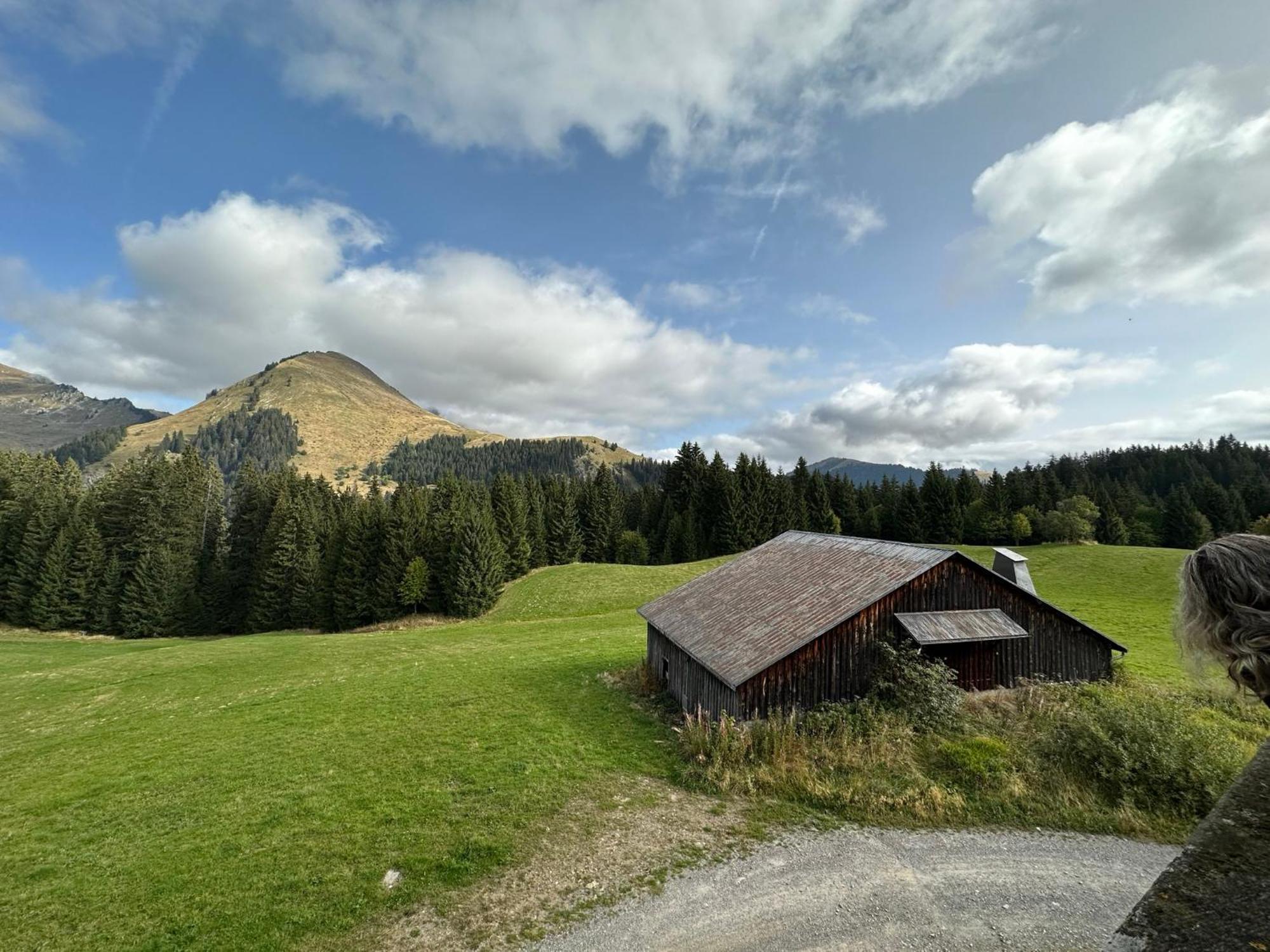 Studio Au Coeur Du Praz-De-Lys - Les Pralyssimes Le Praz de Lys Ngoại thất bức ảnh