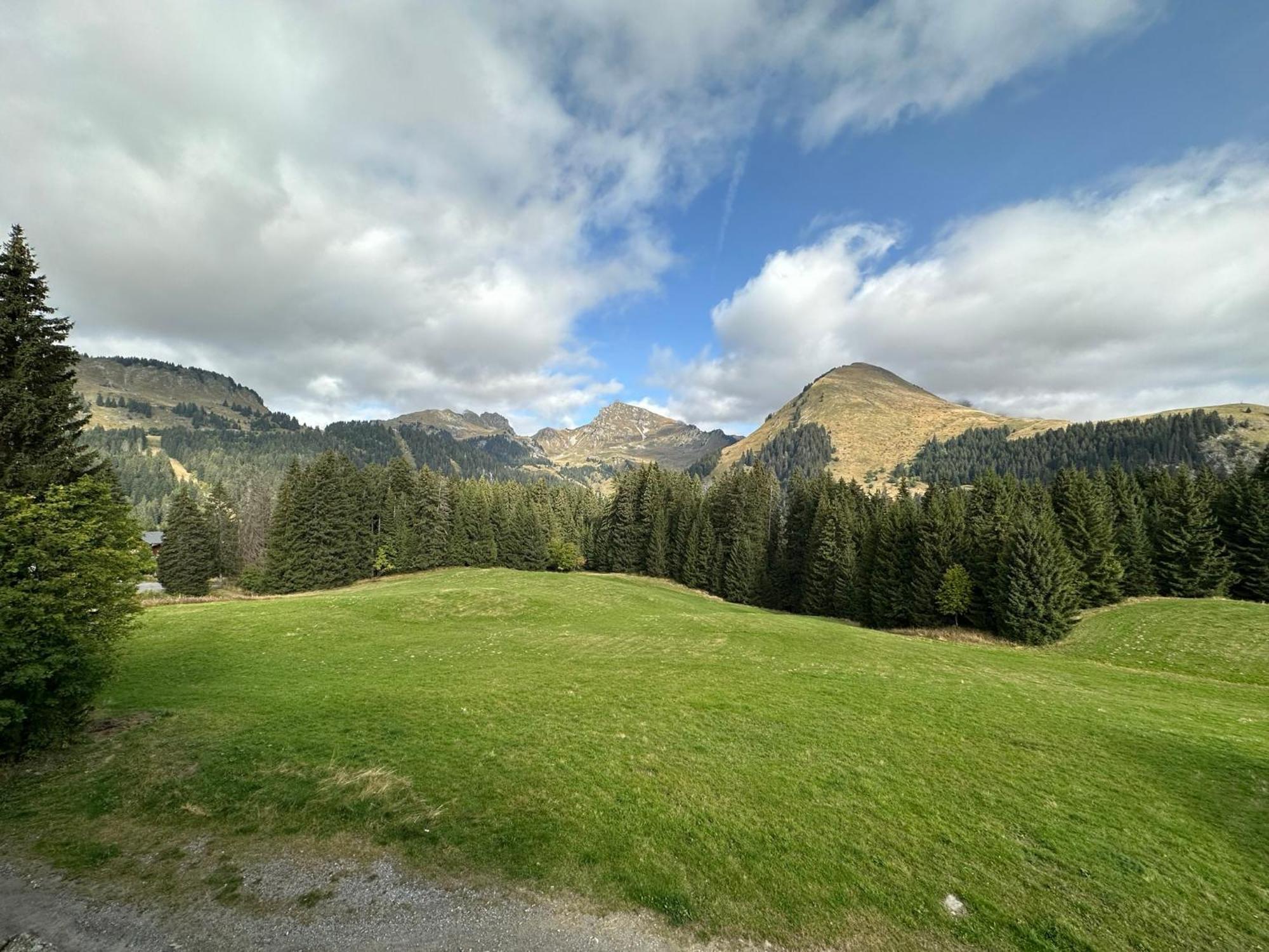 Studio Au Coeur Du Praz-De-Lys - Les Pralyssimes Le Praz de Lys Ngoại thất bức ảnh