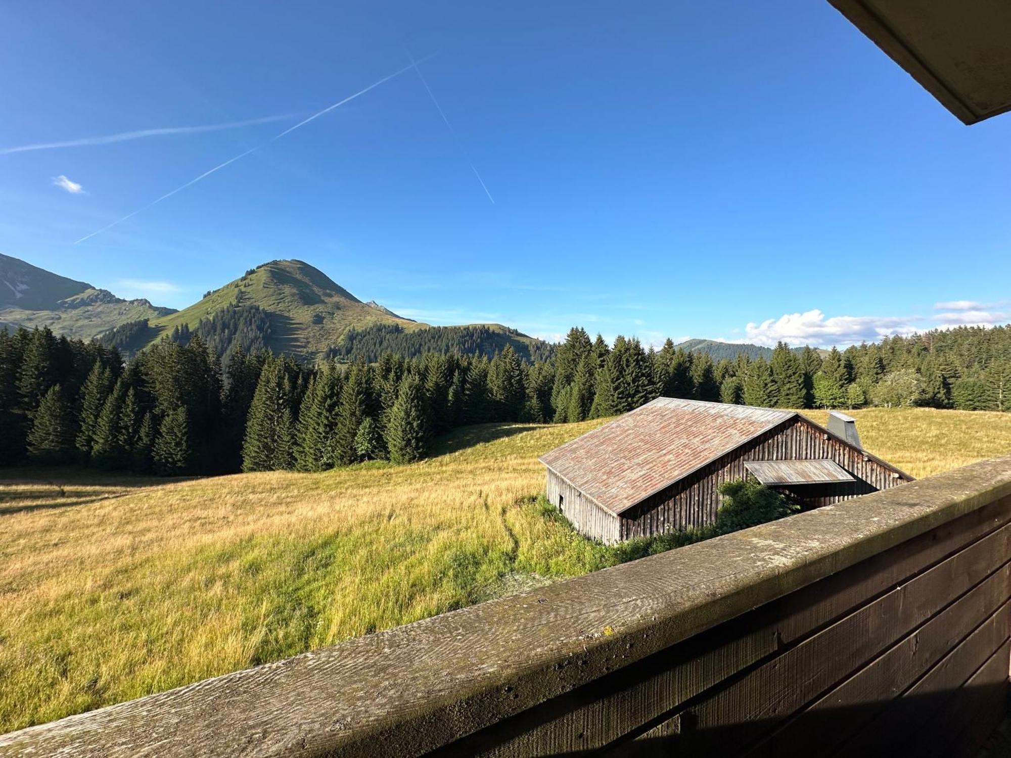 Studio Au Coeur Du Praz-De-Lys - Les Pralyssimes Le Praz de Lys Ngoại thất bức ảnh